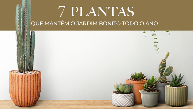 7 plantas que mantêm o jardim bonito todo o ano